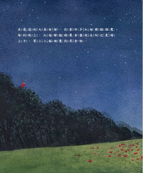 紅翅膀貓頭鷹